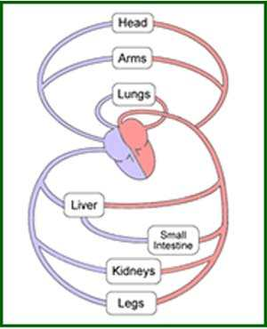 اضغط على الصورة لعرض أكبر. 

الإسم:	image.png 
مشاهدات:	22 
الحجم:	101.2 كيلوبايت 
الهوية:	46